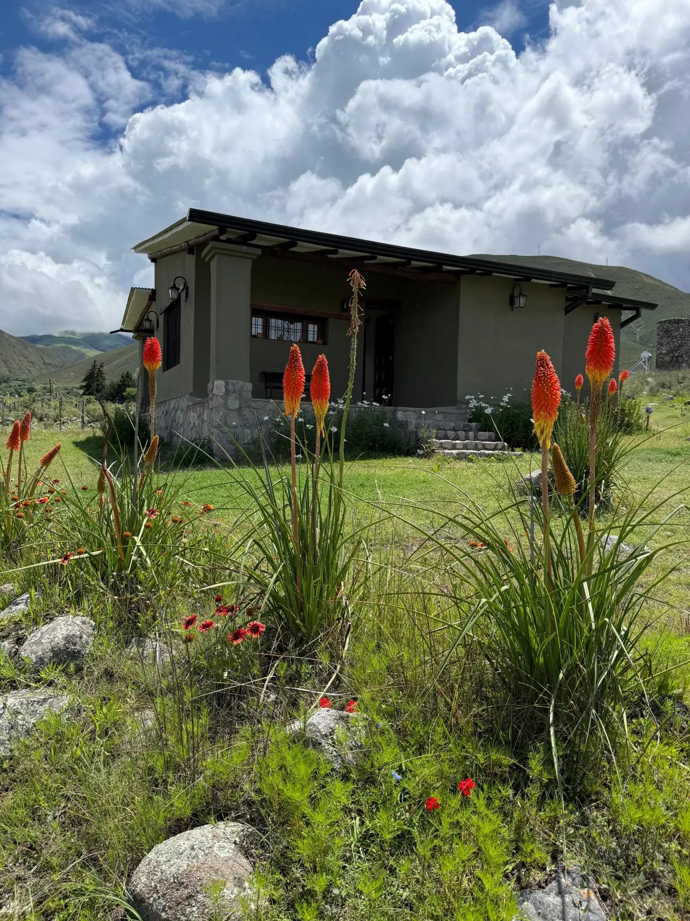 Casa Olivo - vista