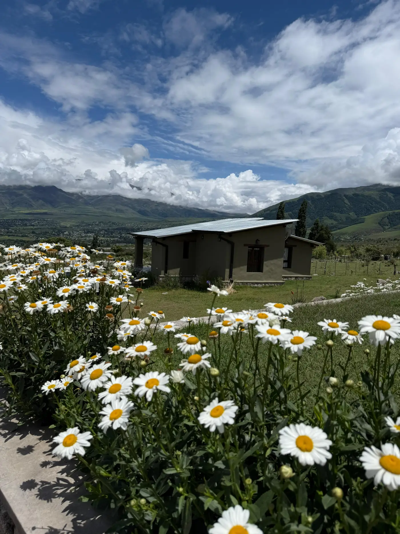 Casa Olivo - espacio exterior